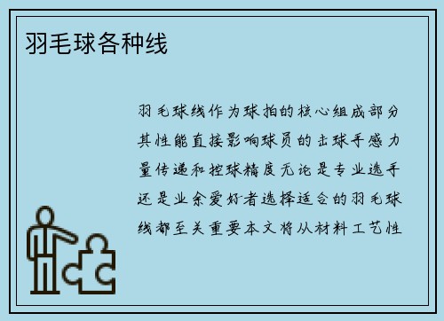 羽毛球各种线
