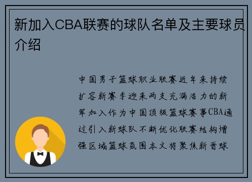 新加入CBA联赛的球队名单及主要球员介绍